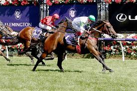 Ascot Karrakatta Plate Review